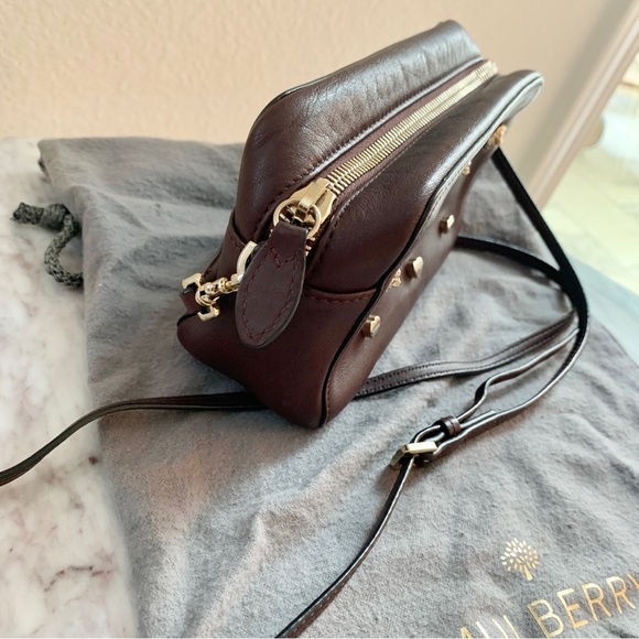 🦁 Mulberry x Cara Delevingne Mini Bag in Oxblood with Lion & Heart Rivets - Picture 7 of 17